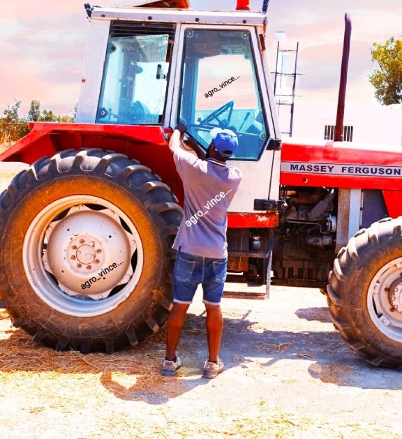 We grow fresh, organic produce using clean methods that protect nature, healthy food.