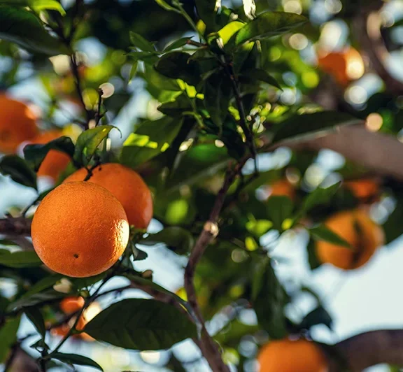 There are many variations of passages of Lorem Ipsum available, but majority have suffered teration in some form, by injected humour, or randomised words which don't look even slight believable. If you are going to use a passage of Lorem Ipsum.