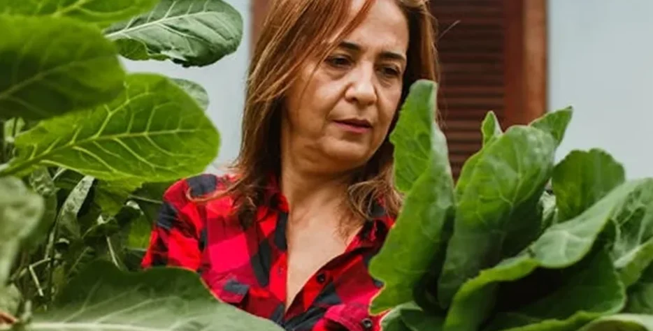 We grow fresh, organic produce using clean methods that protect nature, healthy food.